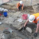 Photo: Christchurch Archaeology Project