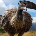 The world’s largest-ever eagle, the pouakai, stalks a moa in spectacular VR footage produced for...