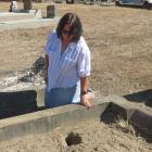Linda Gordon inspects one of the many graves damaged by burrowing rabbits at Cromwell Cemetery....