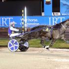 Betterthancash has the advantage of starting from the front line in the Autumn Cup. PHOTO: RACE...