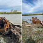 A car that had washed down the Mataura River had to be salvaged by Environment Southland. Photo:...