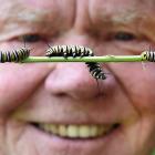 Mosgiel resident Kelvin Read, 71, with a few of the caterpillars who now call his home their home...