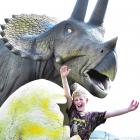 Sid Farrell, 11, of Dunedin, checks out a Triceratops dinosaur at The Amazing Dinosaur Discovery...