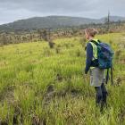 Forest &amp; Bird’s Francesca Cunninghame monitors predator control protection of native species,...