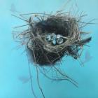 PANZ 2024 exhibition Master Circle 2024 winner Empty Nest by Julie Freeman. PHOTOS: SUPPLIED
