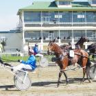 The Tuapeka Lodge Tuapeka Cup was held at Ascot Park Raceway in Invercargill. PHOTO: ODT FILES