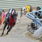 Still legal but not for much longer. PHOTO: ODT FILES