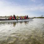 Karitāne Māori Tours takes customers on a restorative journey. Photo: Karitāne Māori Tours 