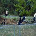 Roads leading to the Lake House flat are cleaned of St Patrick's day rubbish this morning. Photo:...
