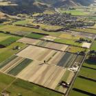 Market gardening patterns the Taieri in this file photo. Photo: Stephen Jaquiery