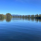Ruamāhanga River, Wairarapa. Photo: Facebook/Aaron Wright