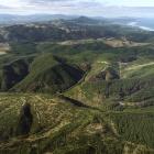 The proposed Smooth Hill site looking north towards Dunedin. PHOTO: STEPHEN JAQUIERY