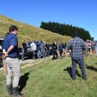 More than 30 people attended a Beef + Lamb field day on Jeff Farm this month. PHOTOS: SHAWN MCAVINUE