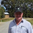 Ewe beauty . . . Rural Livestock agent Dennis Mullally sold about 11,000 halfbred ewes at...