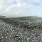 Photo: Supplied / Department on Conservation