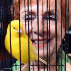 Colleen Wright admires the top canary at the Dunedin Bird Club’s 143rd annual show on Saturday....