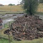 Lawrence farmer Roger Cotton talks to a reporter about flood clean-up on his Hunt Rd property...