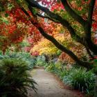 A diverse garden. PHOTO: ODT FILES