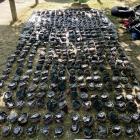 Under-sized paua, such as those pictured, have cost a Frankton restaurant owner $18,000. PHOTO:...