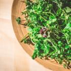 A collection of edible wild greens. Photo: Getty Images