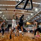 The New Zealand basketball league flourished under Justin Nelson’s stewardship. PHOTOS: GETTY...