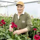 John Gunn is retiring from the flower growing business and selling the Horotane Valley farm...