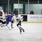 Anjali Mulari in action for the Ice Fernz during the division 2, group B world championships in...