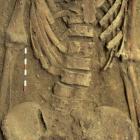 The last meal of this woman, who lived about 4000 years ago, can be seen in her pelvis. Photo:...
