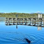 A visitor walks along the Lake Mahinapua jetty. Residents are concerned a proposed mine will...