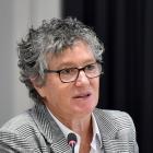 Dunedin City Council chief executive Sandy Graham has repeatedly described councillors as "f.....