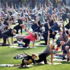Visitors to the NZ Festival of Nature - Wild Dunedin Naturedome event at Forsyth Barr Stadium...