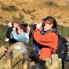 Delegates from 13 member countries of the Agreement on the Conservation of Albatrosses and...