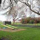 The attack happened at Bathgate Park in South Dunedin. Photo: ODT Files