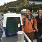 A Buller’s mollymawk is taken aboard MV Sootychaser by Dunedin Wildlife Hospital wildlife...
