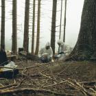 The researchers also detected changes in the bioelectric responses of the stumps during the...