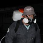 Spraying is being carried out in public areas on Rarotonga as part of efforts to control the...