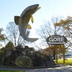 PHOTO: ODT FILES