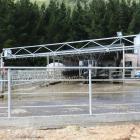 Clean the dairy shed to a high standard, using only approved products, before Moving Day. PHOTO:...