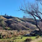 Gabriel’s Gully, the site of the country’s first payable gold discovery in 1861 - is now being...