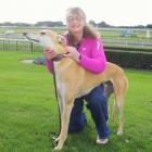 Retired 8-year-old greyhound racer Groot visits Ascot Park Raceway in Invercargill on Monday with...