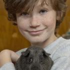 With his cavy Robbie is Zander Gillan, 10, of Christchurch, at the Guinea Pig Show in the Green...