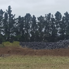 Michael Le Roy was ordered to remove stockpiled tyres from an Amberely proper in 2018 by...