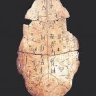 A Chinese oracle bone. Photo: supplied