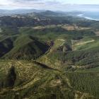 Proposed Smooth hill site looking north towards Dunedin, PHOTO: STEPHEN JAQUIERY