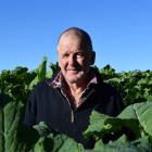 Sheep and beef farmer Ken Bain, of Hindon, stands in his kale crop, which won him the top prize...