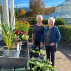 Friends of the Dunedin Botanic Garden vice-president Jocelyn Livesey (left) and committee member...