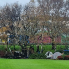 In Dunedin, a  fire broke out at a homeless camp at The Oval earlier this month. Photo: RNZ