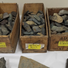 Toki found at Tiwai before the aluminium smelter was built by the McFarlane family which are now...
