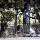 Canterbury's dry, hot summers put it at risk of fires (file photo). Credit: RNZ / Nathan Mckinnon