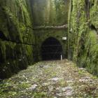 The Caversham tunnel. PHOTO: ODT FILES